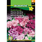 Hornum Petunia, Double Cascade mix