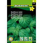Hornum Salladsbasilika