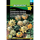 Hornum Prydnadspumpa, Star mix