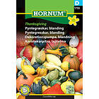 Hornum Prydnadspumpa, Thanksgiving mix