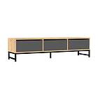 Rinorea TV-benk 160x40cm