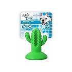 All For Paws Dental Cactus M