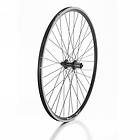 Bonin Cbt Box 28´´ Rear Wheel Silver 12 x 142 mm