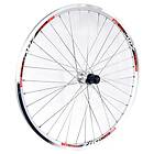 Gurpil Zac Inox 26´´ 8-11s Tubeless Mtb Rear Wheel Vit,Svart 9 x 135 mm / Shimano/Sram HG