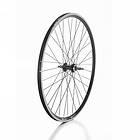 Bonin Ctb 28´´ Rear Wheel Silver 12 x 142 mm