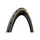 Continental Grand Prix 5000 Tubeless Road Tyre Guld 700 / 25