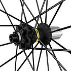 Mavic Deemax Pro Samoa Hill 29´´ 6b Disc Mtb Rear Wheel Svart 12 x 142 mm / Sram XD