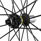 Mavic Deemax Pro Samoa Hill 29´´ Disc Boost Mtb Rear Wheel Svart 12 x 148 mm / Sram XD