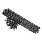 Spokes Saltbmx 50 Units Silver 179 mm