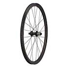 Specialized Roval Terra Clx Cl Disc Tubeless Road Rear Wheel Svart 12 x 142 mm / Shimano/Sram HG