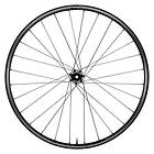 Cannondale Xc-s 27 Ai 6b Disc 29´´ Mtb Rear Wheel Silver 12 x 142 mm / Shimano Micro Spline