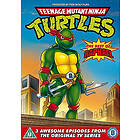 Teenage Mutant Ninja Turtles: Best Of Raphael (DVD)