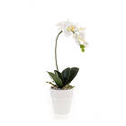 Emerald Konstväxt Orkidé Phalaenopsis I Kruka Vit 45 Cm