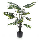 Emerald Konstväxt Monstera 80Cm