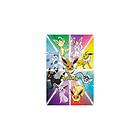 Pokemon Poster 3 Eevee Evolution