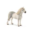schleich HORSE CLUB Welsh-pony Hingst 13871