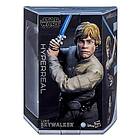 Star Wars Hyperreal Luke Skywalker