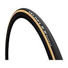 Record Veloflex Tubeless Road Tyre Guld 700 / 25