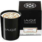 Lalique Candle 190g Safran Mashhad