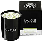 Lalique Candle 190g Osmanthus Himalaya