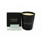 Lalique Candle 190g Peuplier Aspen