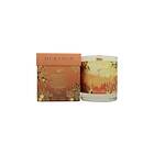 Cinnamon Durance Provence France Orange Perfumed Natural Candle 280g