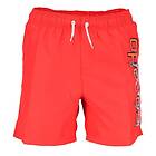 Speedo Graphic Leisure 15" Swimming Shorts (Herr)