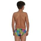 Speedo Hyperchromatic Allover 6,5cm Swimming Brief (Pojke)
