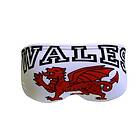 Turbo Wales Dragon Swimming Brief (Pojke)