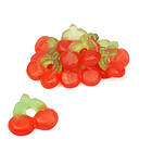 Cherry De Bron Gums Sugarfree 1kg