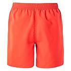 AquaWave Aogash Shorts (Herr)