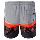 AquaWave Palawan Shorts (Herr)