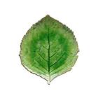 Costa Nova Riviera Hydrangea Leaf Tallrik 22cm