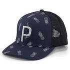 Pineapple Trucker P Cap: ADULT Navy Blazer-Flat Light Gray