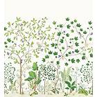 Sanderson Arboretum Sycamore & Oak Botanical Green tapet 217211