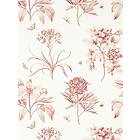 Sanderson Etchings & Roses Amanpuri Red tapet 217054