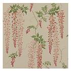 Colefax and Fowler Seraphina Old Pink/Leaf 07157-08