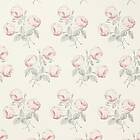 Colefax and Fowler Bowood Pink Grey 07401-09