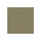 Caselio Beton 2 Uni Metallise/Nacre Kaki Dore BTO101497509