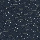 Ralph Lauren Coastal Papers Starry Sky Midnight Blue PRL5041-01