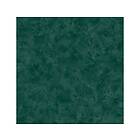 Caselio Patine 2 Uni Vert Sapin PAE100227979