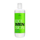 Schwarzkopf 3DMension Anti Dandruff Shampoo 1000ml