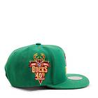 Mitchell & Ness Bucks Like Mike Snapback HWC