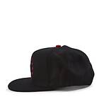 Mitchell & Ness Born And B Snapback HWC