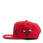 Mitchell & Ness Bulls The Finals Snapback