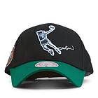 Mitchell & Ness Celtics Highlight Real Brown Snapback HWC