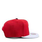 Mitchell & Ness Heat Cardinal 2 Tone Snapback