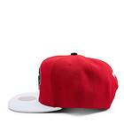 Mitchell & Ness Mavs Cardinal 2 Tone Snapback