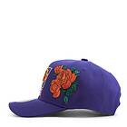 Mitchell & Ness Secondary Roses Pro Snapback H