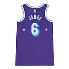 Nike Lakers Swingman Jersey 21 LeBron James